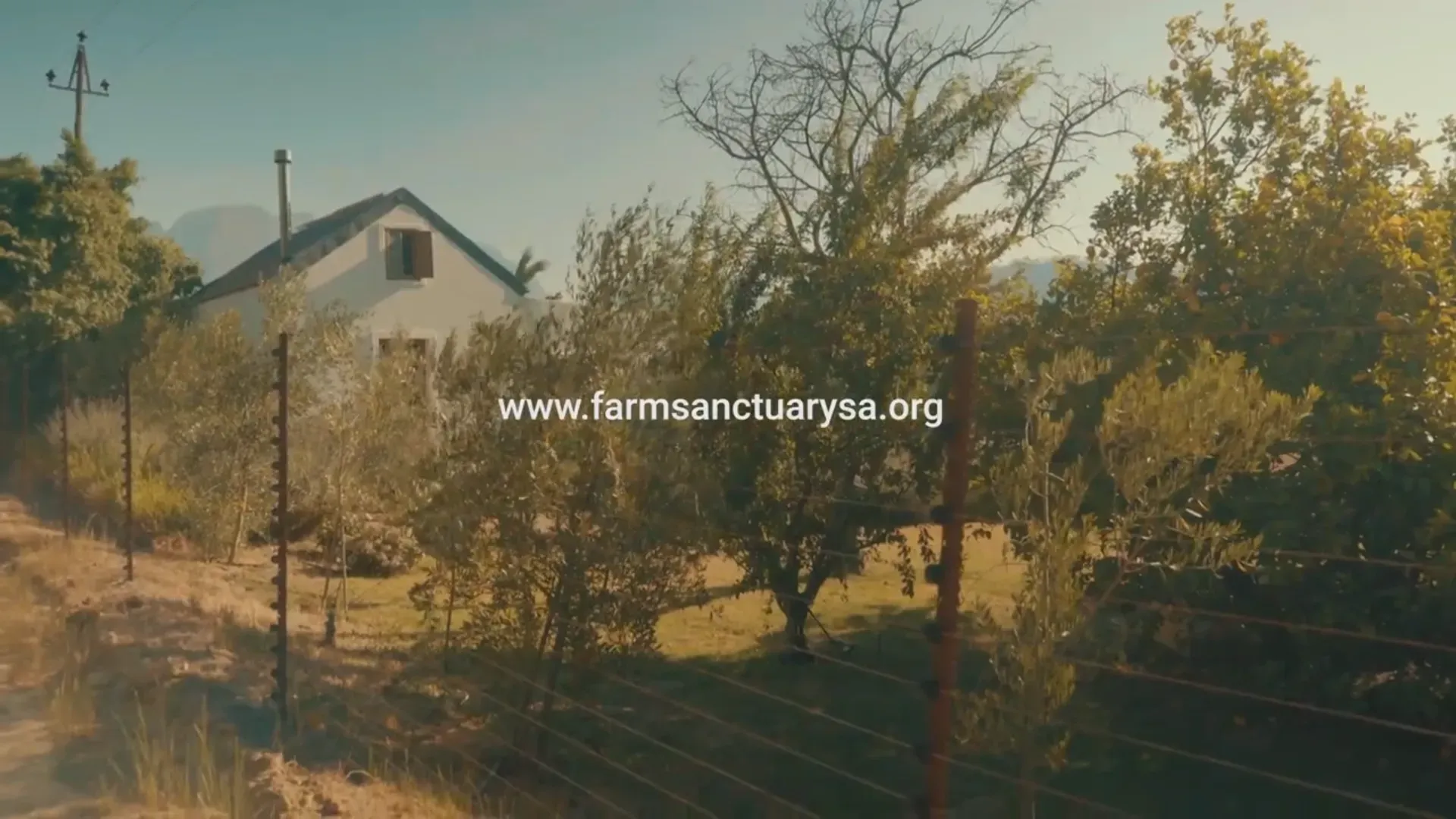 Farm Sanctuary SA