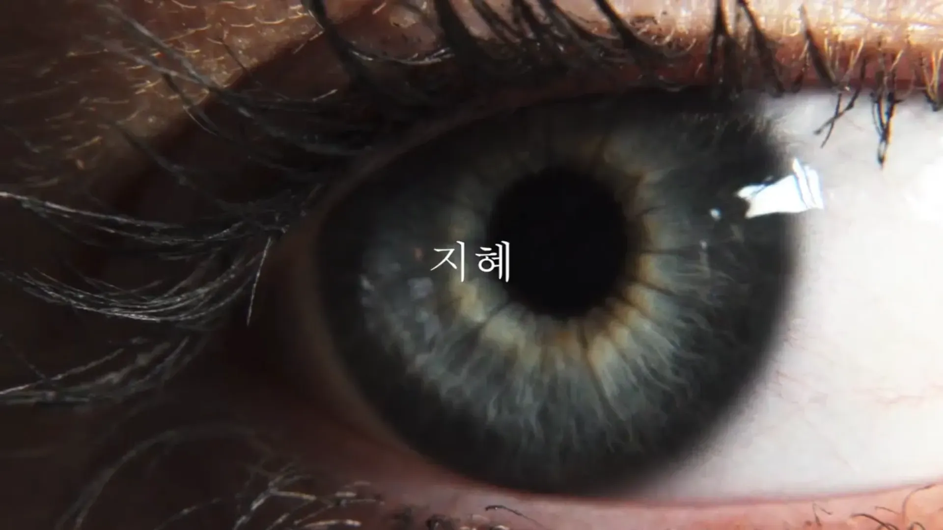 Haus 9 — Teaser
