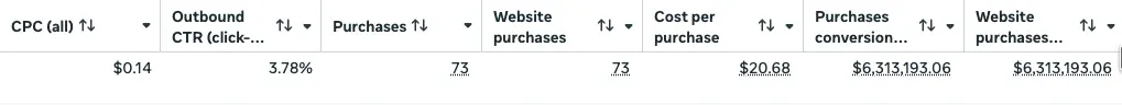 Meta-Ads-Conversions: Käufe und Conversion-Wert — Heinrich Songmin Berger (Henny)