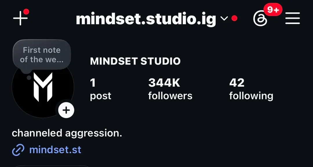 Instagram-Profil Mindset Studio mit 344K Followern — Heinrich Songmin Berger (Henny)