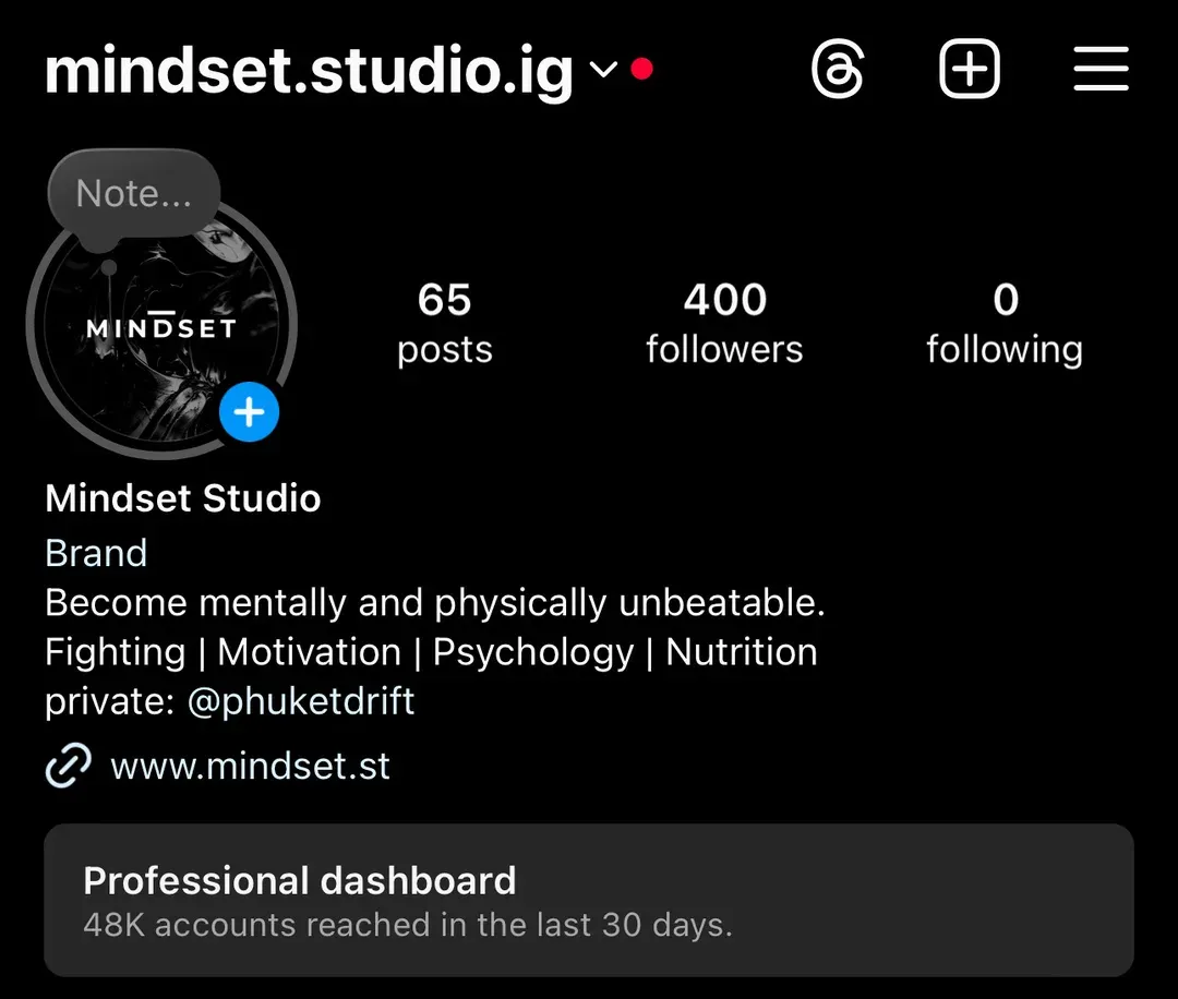 Instagram-Profil Mindset Studio mit 400 Followern — Heinrich Songmin Berger (Henny)