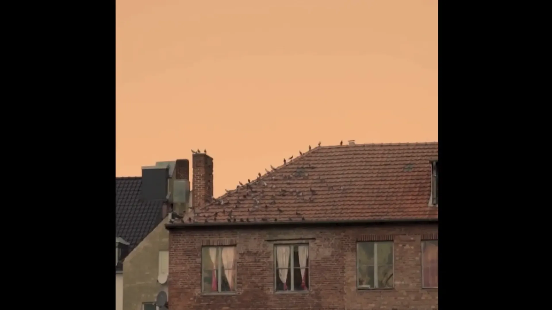 Landnahme der Kunst