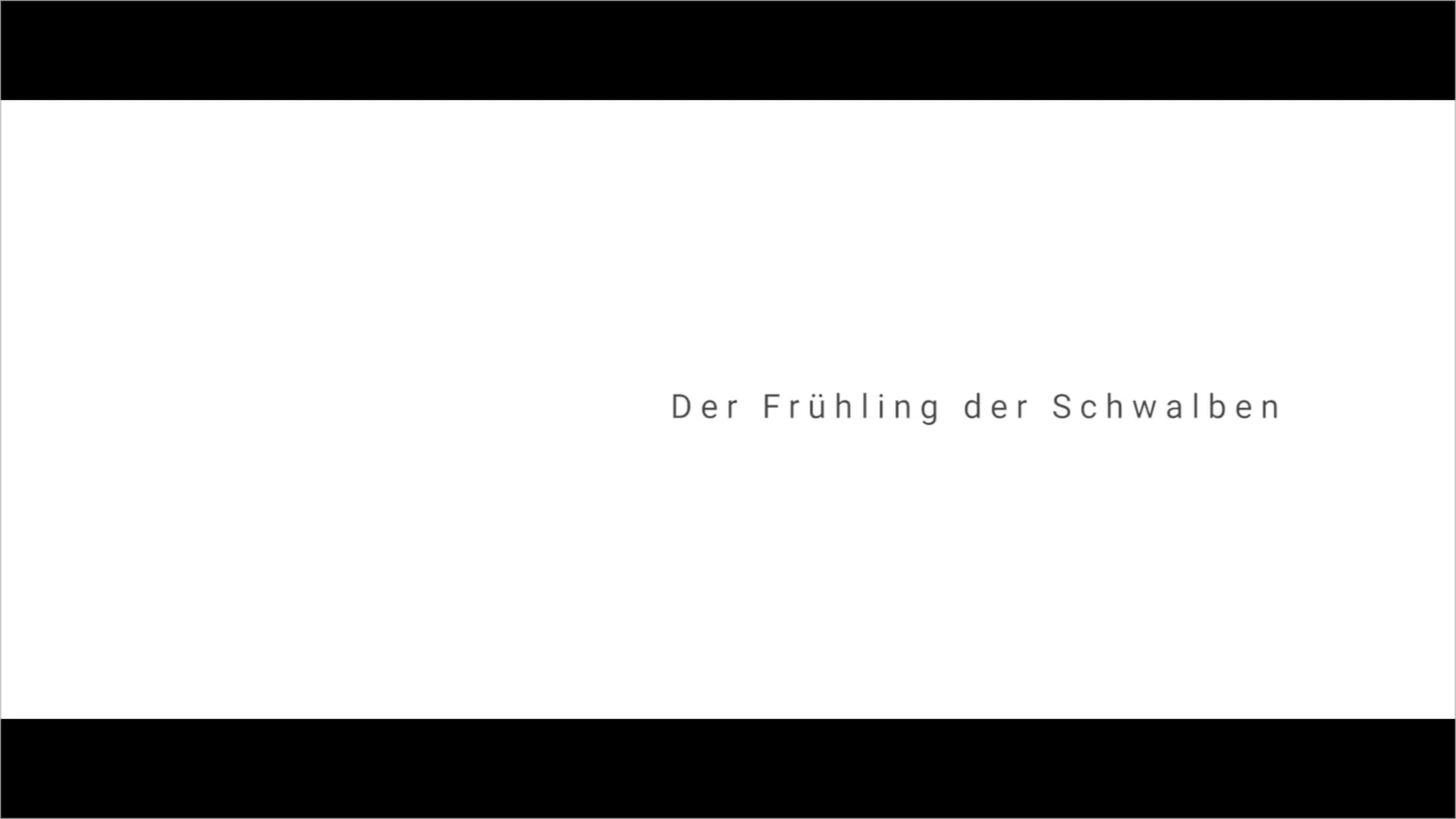 Frühling der Schwalben — Director's Cut