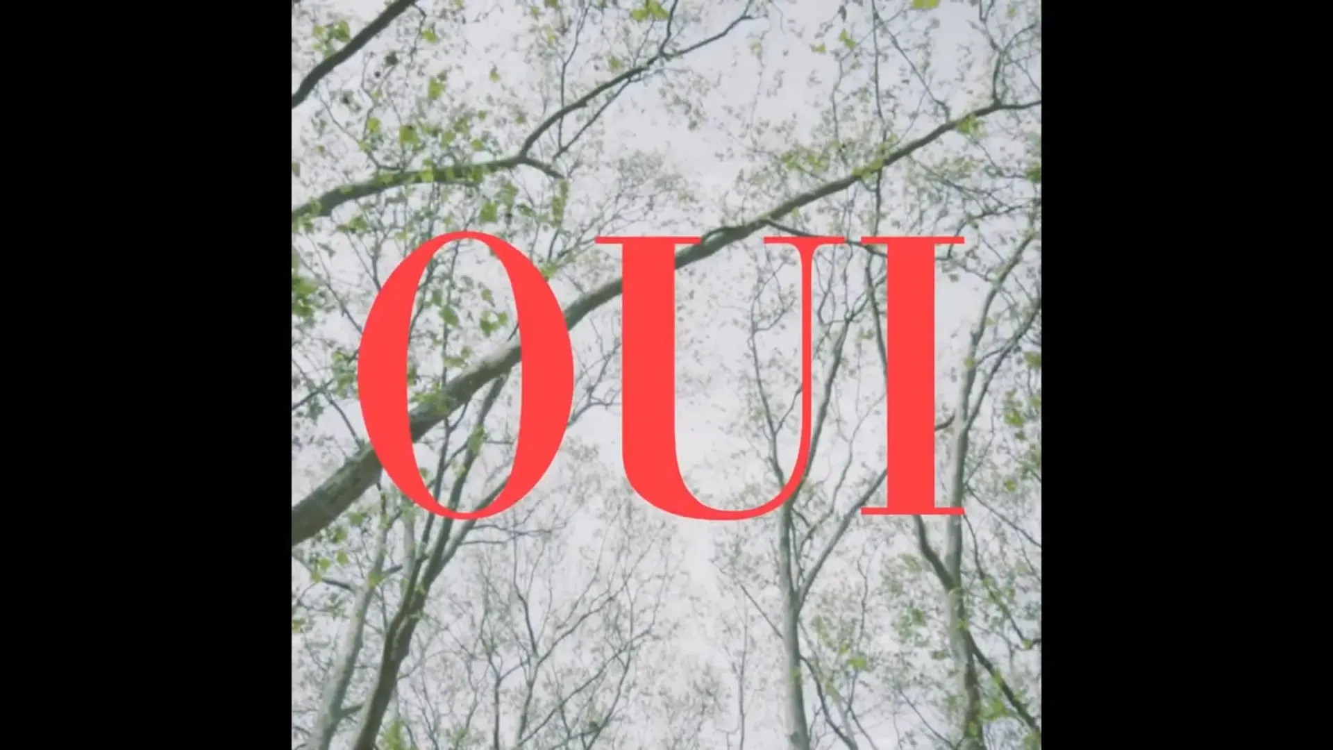 OUI