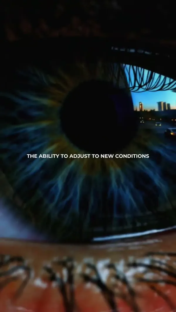 Adaptation [KI] — Screenshot 1